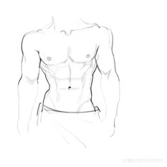 a drawing of a man's torso with no shirt