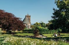 two people sitting on the grass in front of a building with a steeple and trees