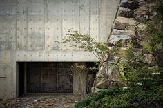 a concrete building with a tree growing out of it