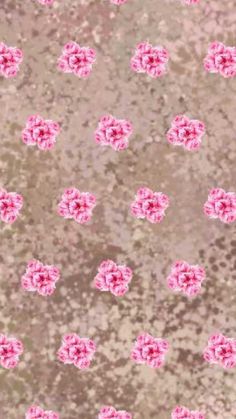 pink flowers are on the ground in front of a brown background with white dots and gray spots