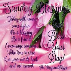 a pink flower with the words sunday blessing