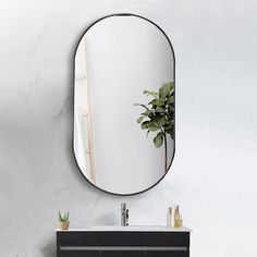 a bathroom vanity with a mirror above it and a potted plant in the corner