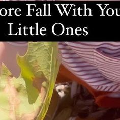 a close up of a leaf with the words before fall with your little ones