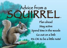 a squirrel sitting on top of a tree branch with the words advice from a squirrel