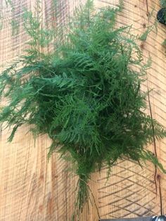 a bunch of green plants sitting on top of a wooden table next to a knife