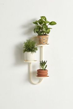 three potted plants sitting on top of two white shelves next to each other in different shapes and sizes