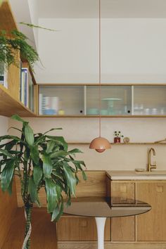 a kitchen with wooden cabinets and plants in it