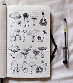 an open notebook with drawings of mushrooms on it and a pen resting next to it