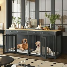 two dogs sitting in their kennels on the floor