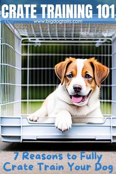 bringing home puppy - crate training Bringing Home Puppy, First Time Dog Owner, Dog Owner Tips, Crate Train, Train A Puppy, Puppy Checklist, Training Puppy, Crate Training Puppy, Puppy Training Tips