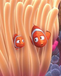 two orange clowns are peeking out from the coral in finding nemo's kingdom