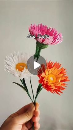 Julie Lee, Crepe Paper Flowers, Botanical Art, Paper Design, Instagram A, Paper Flowers, Flower Art