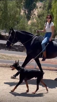 a woman riding on the back of a black horse next to a small black dog