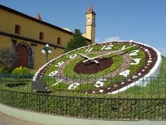 a large clock on the side of a building with plants growing out of it's sides