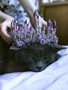 Crown Aesthetic, A Black Cat, Fantasy Clothing, Tiaras And Crowns, Pretty Jewellery, 귀여운 동물