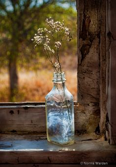 a vase with flowers in it sitting on a window sill near an open window