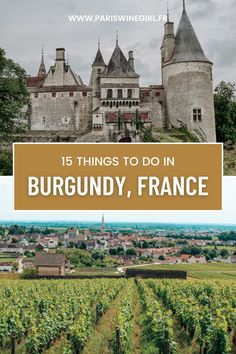 an old castle and vineyard with the words 15 things to do in burgundy, france