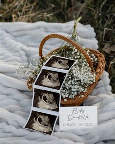 three pictures are placed next to a basket with baby's breath flowers