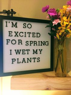 a vase filled with flowers sitting next to a framed sign that says i'm so excited for spring i wet my plants