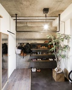 shoes are lined up against the wall in this shoe shop, which also has wooden floors and shelving