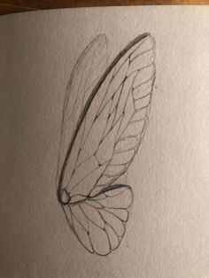 a drawing of a butterfly's wing on top of a piece of white paper