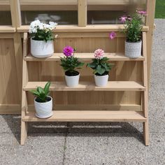 three potted plants are sitting on a shelf