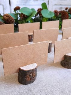 several pieces of wood sitting on top of a table next to some plants and pine cones