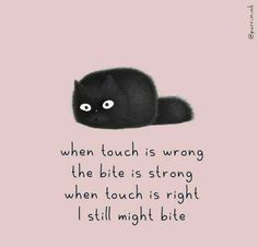 a black cat laying on top of a pink background with the words when touch is wrong, the bite is strong when touch is right i still might bite