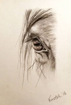 a drawing of a horse's eye with long hair