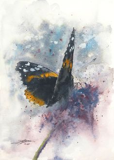 a watercolor painting of a butterfly on a flower