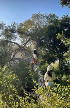 two people are in the trees and one person is sitting on a tree branch looking at something