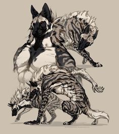 Werewolf Art, Mythical Animal, Canine Art, Creature Drawings, Monster Concept Art, Monster Design