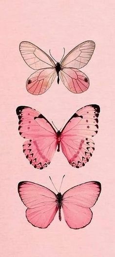 three pink butterflies with black spots on their wings and one is white, the other has red