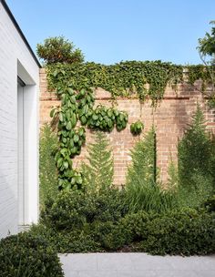 a brick wall covered in green plants next to a white building