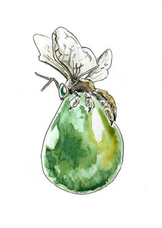 a watercolor painting of a bee sitting on top of a green pear with leaves