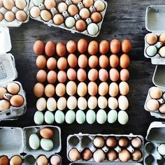 several dozens of eggs laid out in trays on a wooden table with one egg missing