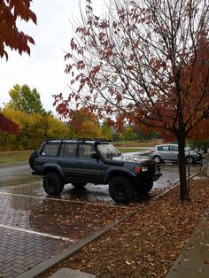 an suv parked in a parking lot next to a tree with leaves on the ground