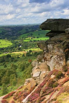 a rock formation on the side of a mountain with trees and flowers growing around it