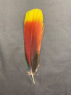 an orange, yellow and green feather laying on top of a gray surface