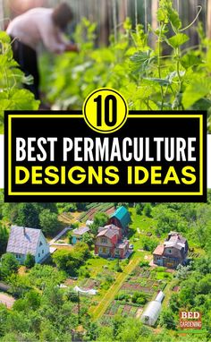 the cover of 10 best permaculture designs ideas, including trees and houses