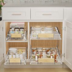 an open cabinet in a kitchen with spices and condiments on the bottom shelf