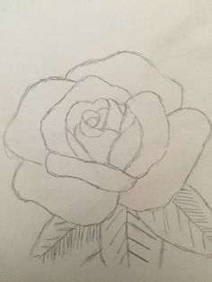 a pencil drawing of a rose with leaves