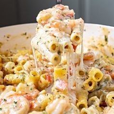 a pasta dish being lifted with a fork