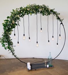 a bunch of lights that are hanging from the ceiling with plants growing out of them