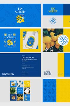 the logo and business cards are designed in blue, yellow and white with an image of lemons