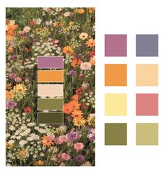 the color palette is shown with different flowers