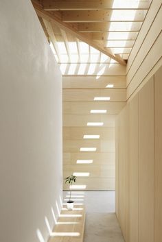 an empty hallway with wooden slats on the ceiling and a potted plant in the corner