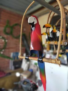 two colorful birds perched on top of a wooden stick in a room filled with clutter