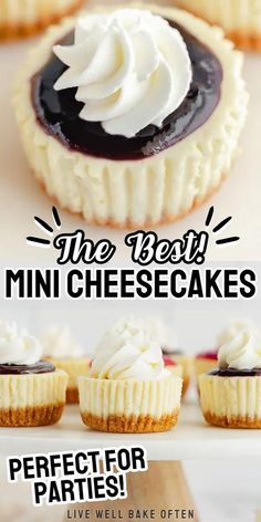 mini cheesecakes with whipped cream on top and the words, perfect for parties