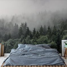 a foggy forest wallpaper mural in a bedroom with a bed and night stand